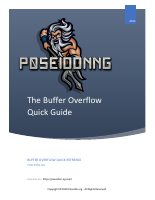 Buffer Overflow.pdf